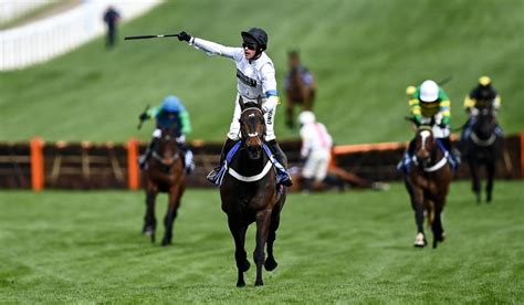 bet365 cheltenham festival